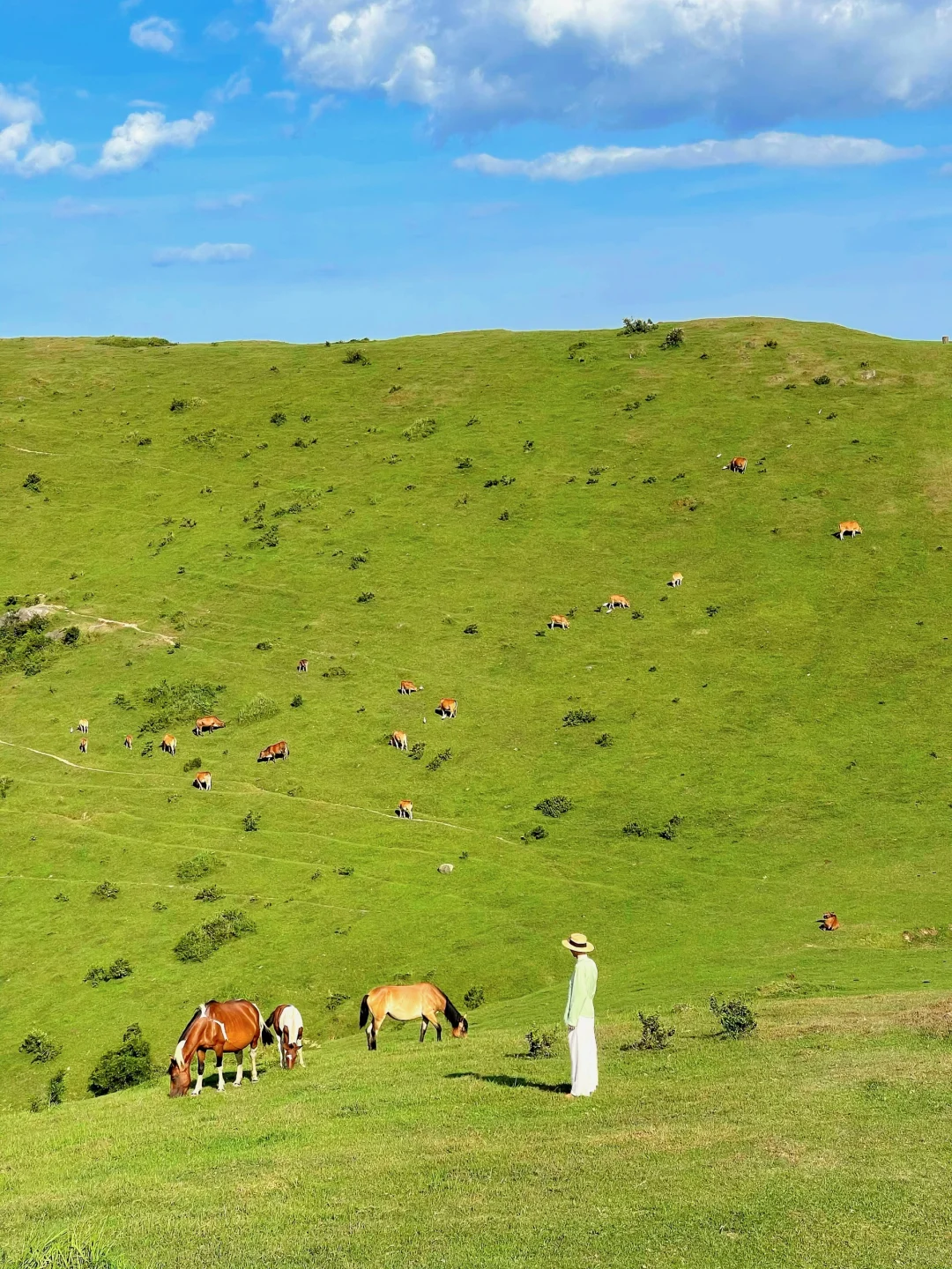 福建不止有海岛，还有福建版小瑞士～