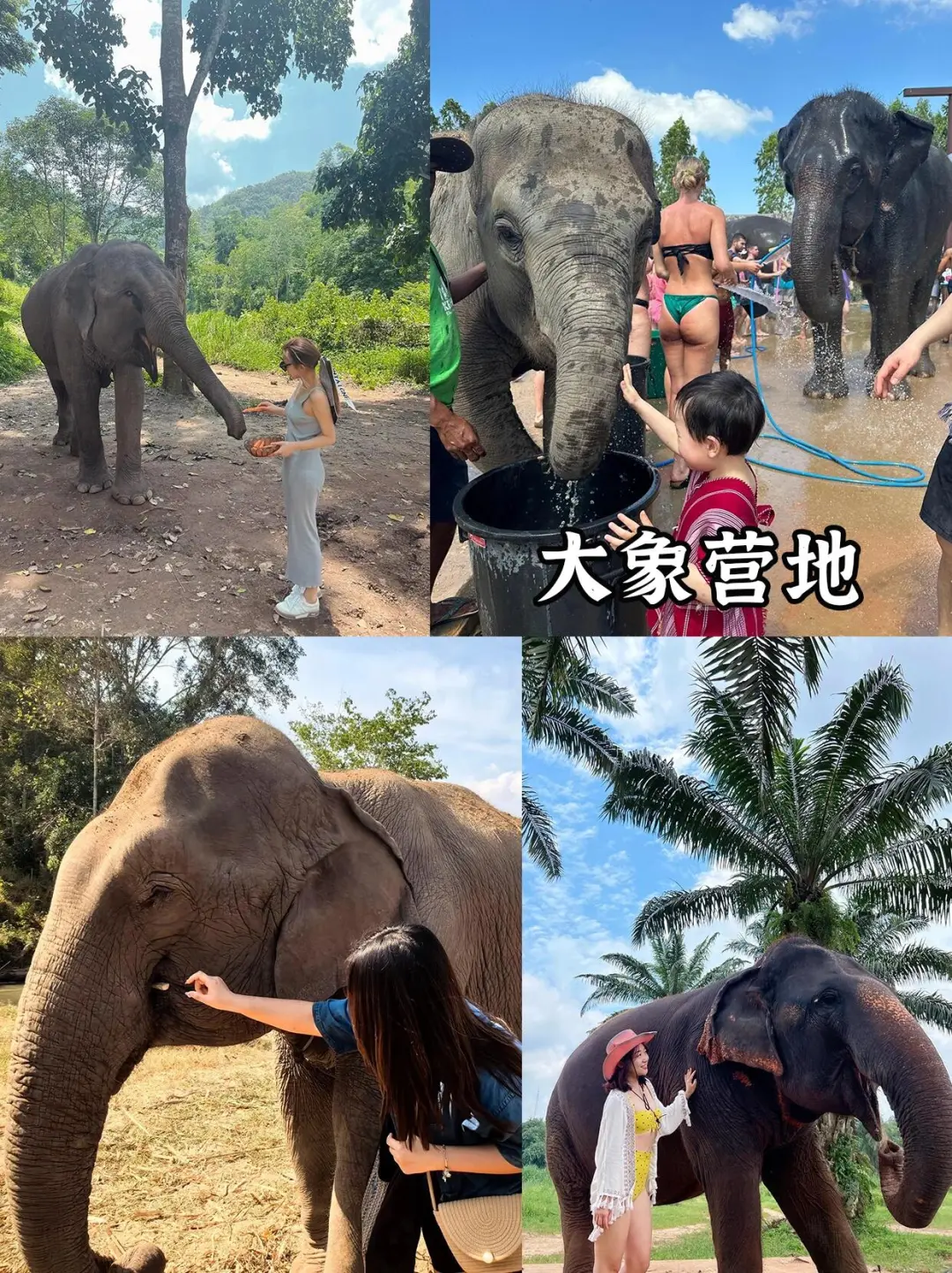 刚从老挝回来,不知当讲不当讲💢💢