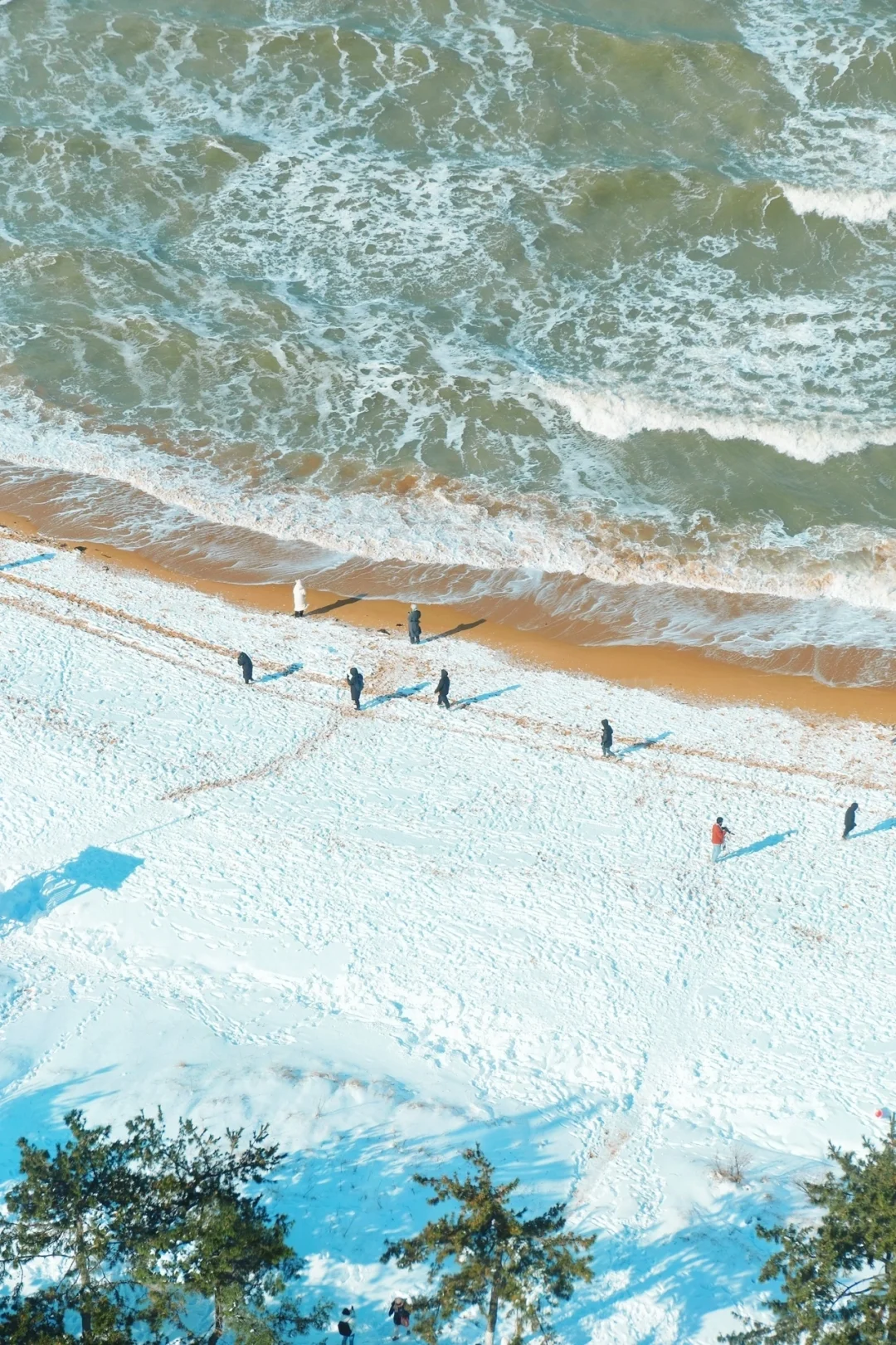 威海看雪刚回来😭说一些我的真实感受！！