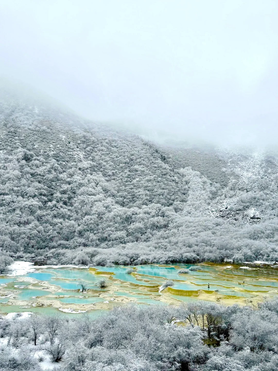 淡季的九寨沟，真的劝退不了一点！！