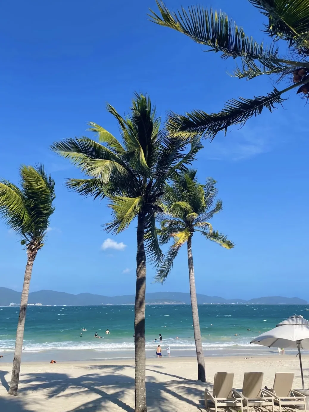 12.17三亚已回，消费观崩塌，白攒了两个月的。