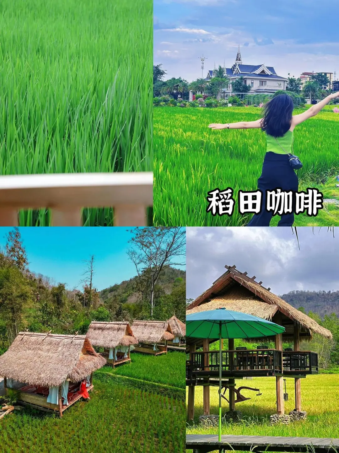 刚从老挝回来,不知当讲不当讲💢💢