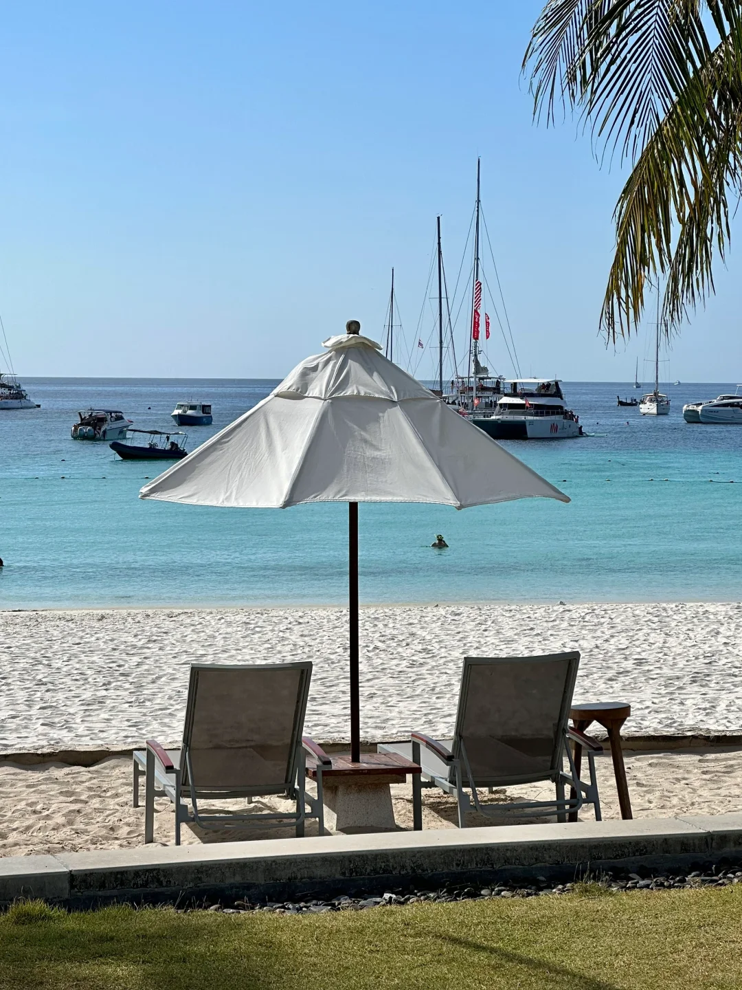 在小红书跟风最成功的一次…..