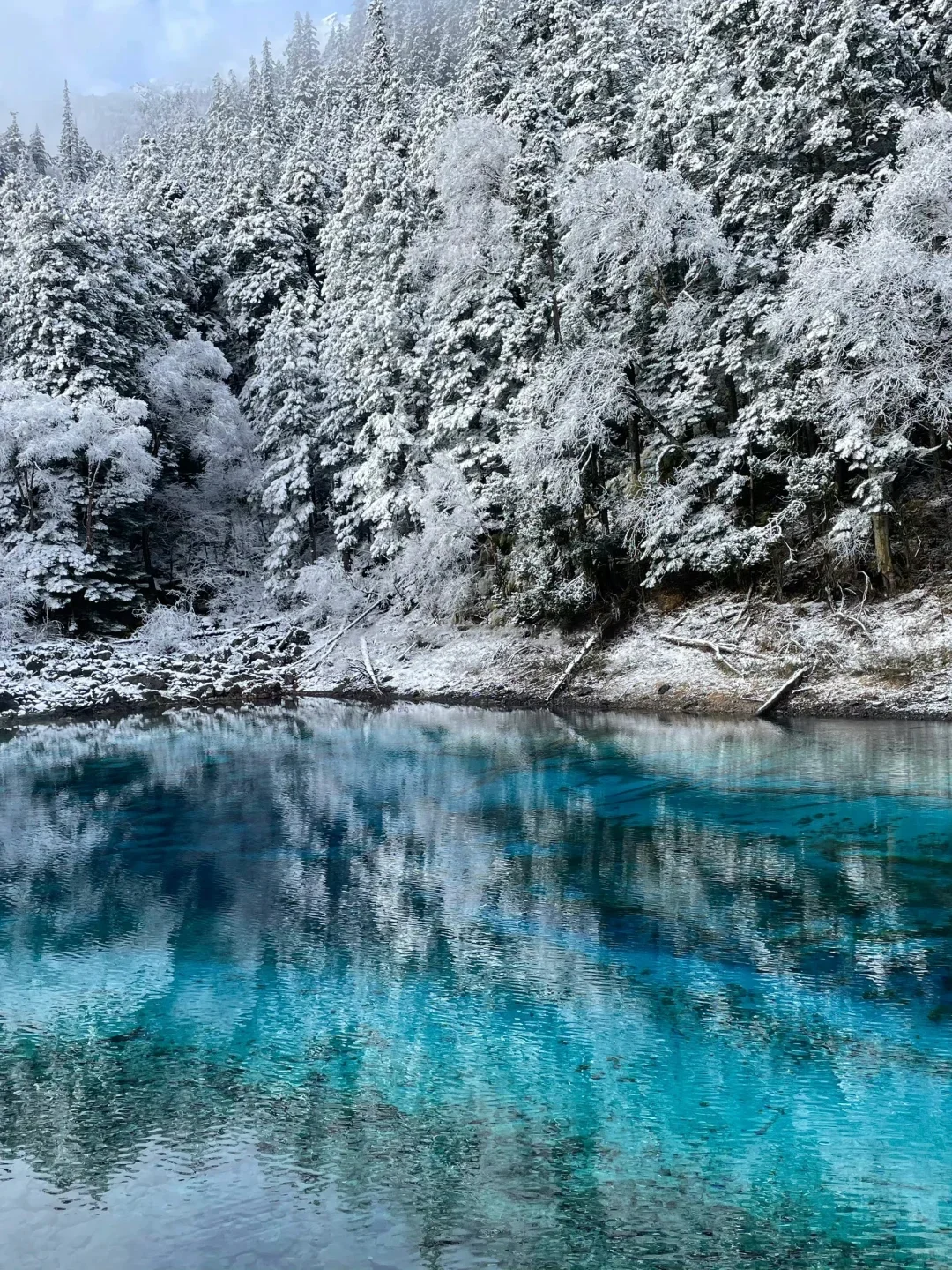 淡季的九寨沟，真的劝退不了一点！！