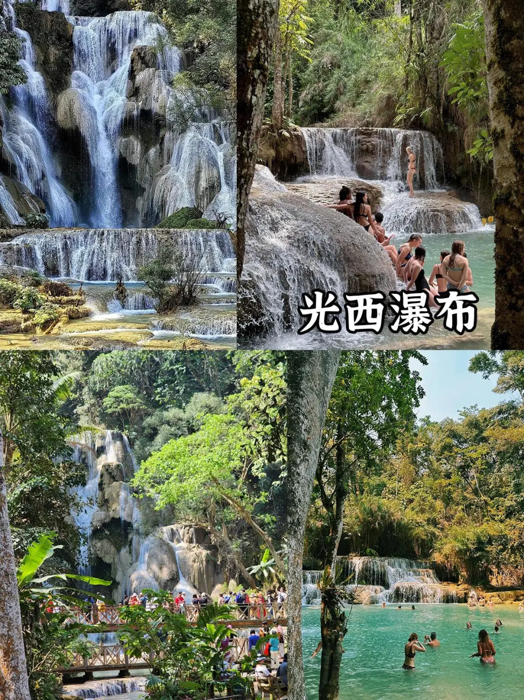 刚从老挝回来,不知当讲不当讲💢💢