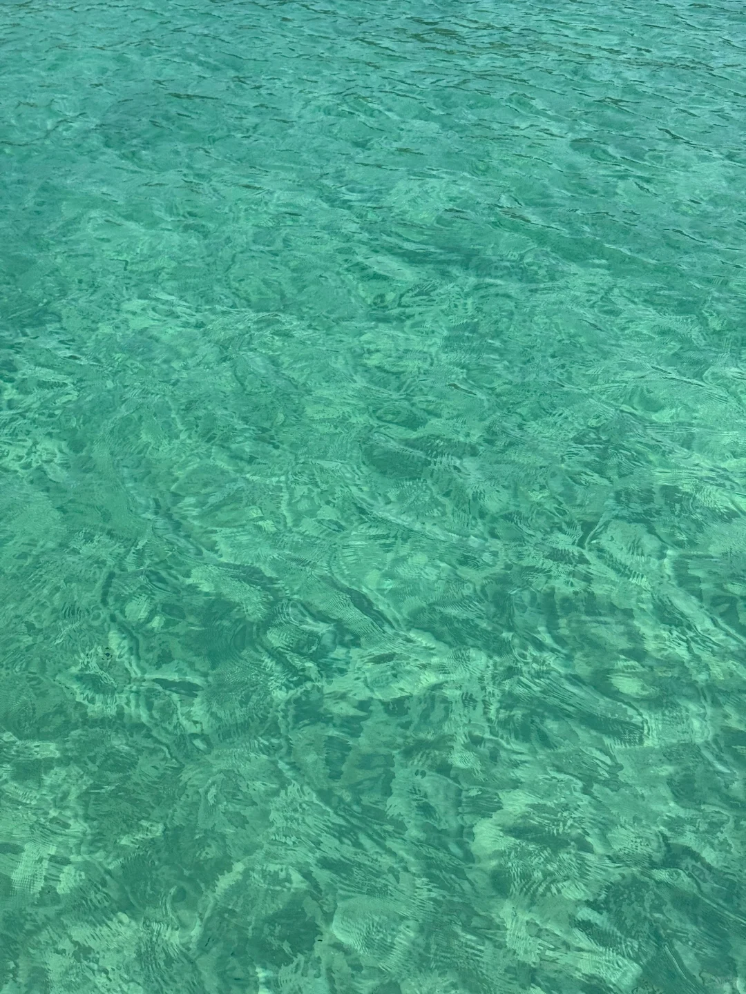 在小红书跟风最成功的一次…..