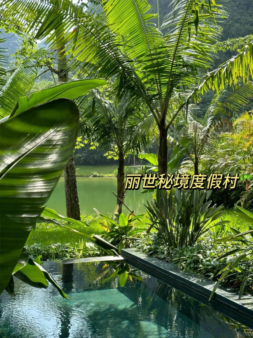 崇左旅行死磕这家!1088/3天😭还送下午茶