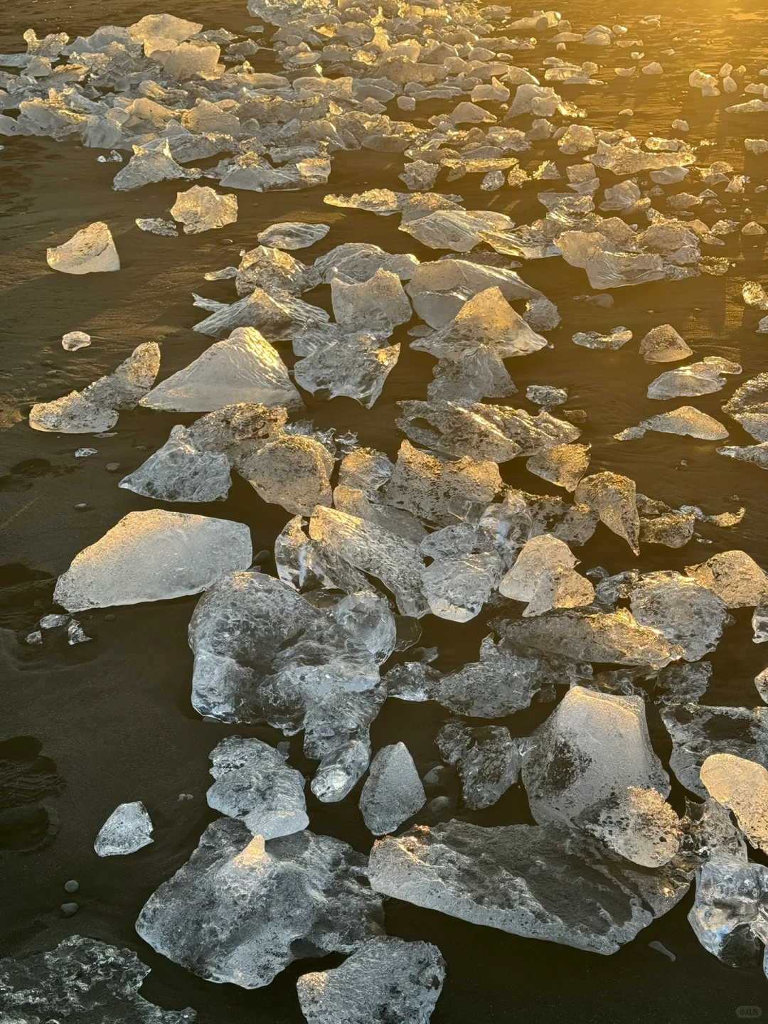 LIVE图让冰岛🇮🇸动了起来！