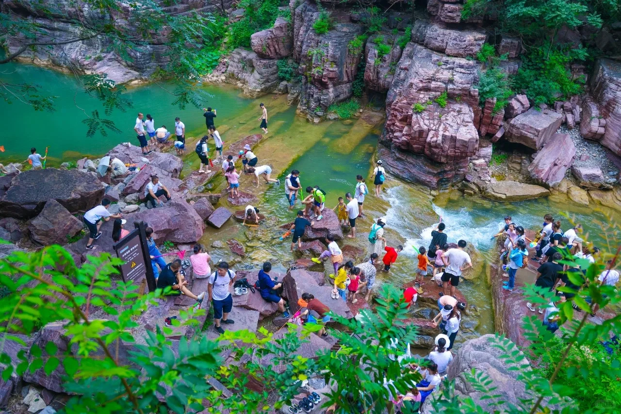 云台山📍避大雷大坑🔥攻略｜巨详细篇~