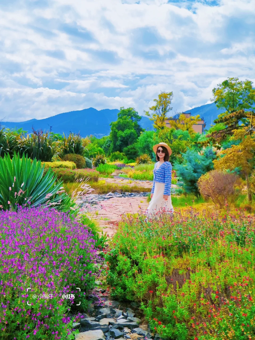 反向旅游成功‼️云南滇东南小环线☀️人真的少