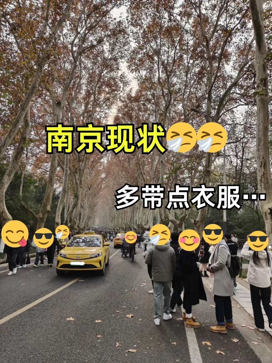 南京已回🤧真诚提醒12-2月来的👭