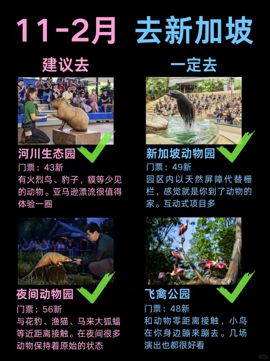 新加坡旅游建议！11-2月去新加坡的姐妹听劝