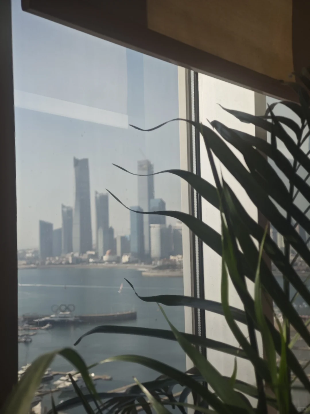 青岛海滨梦幻之旅:奥帆中心 & 五四广场 &