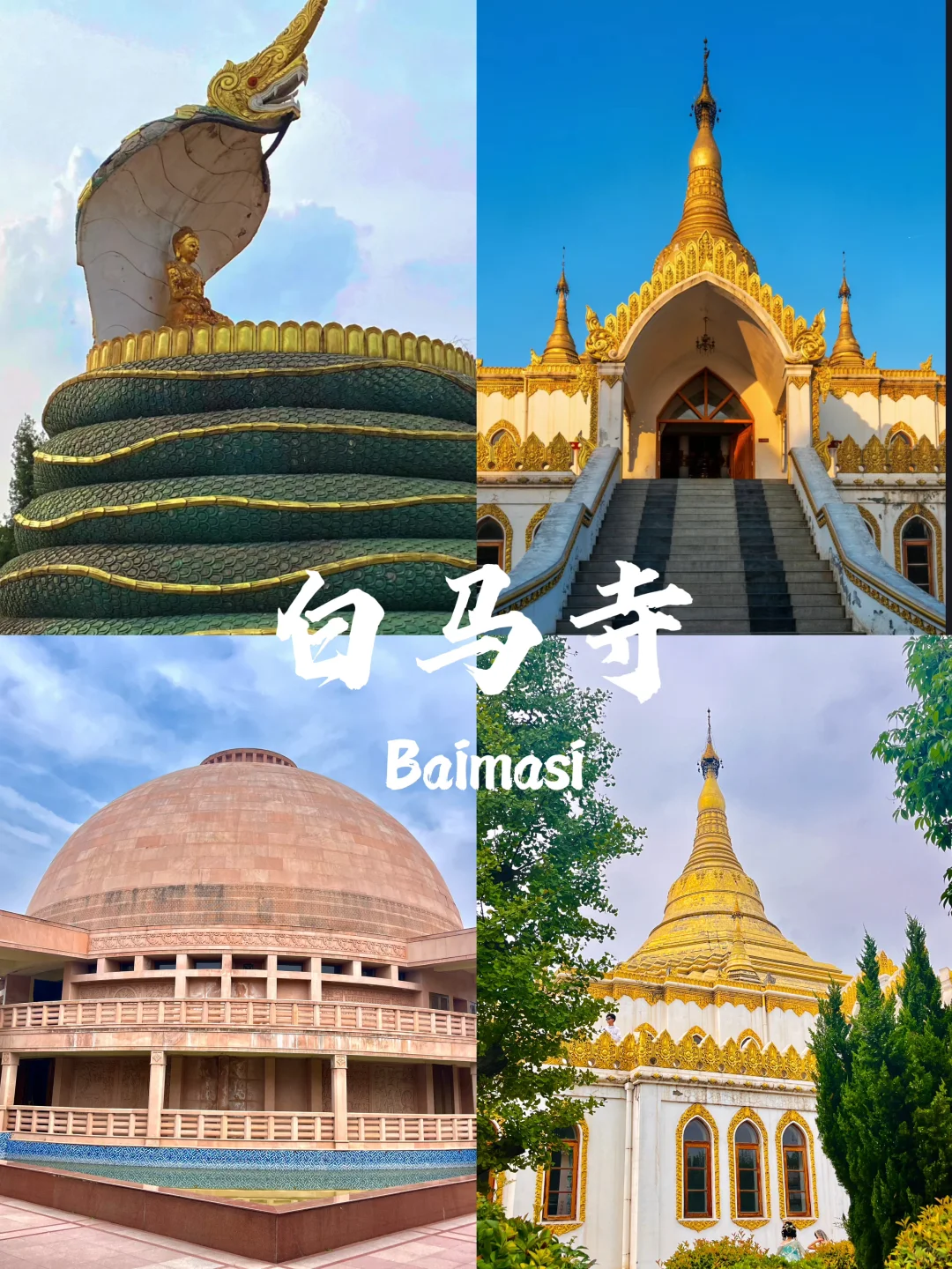 03女大📍洛阳/三天二夜精华版旅游攻略❗️