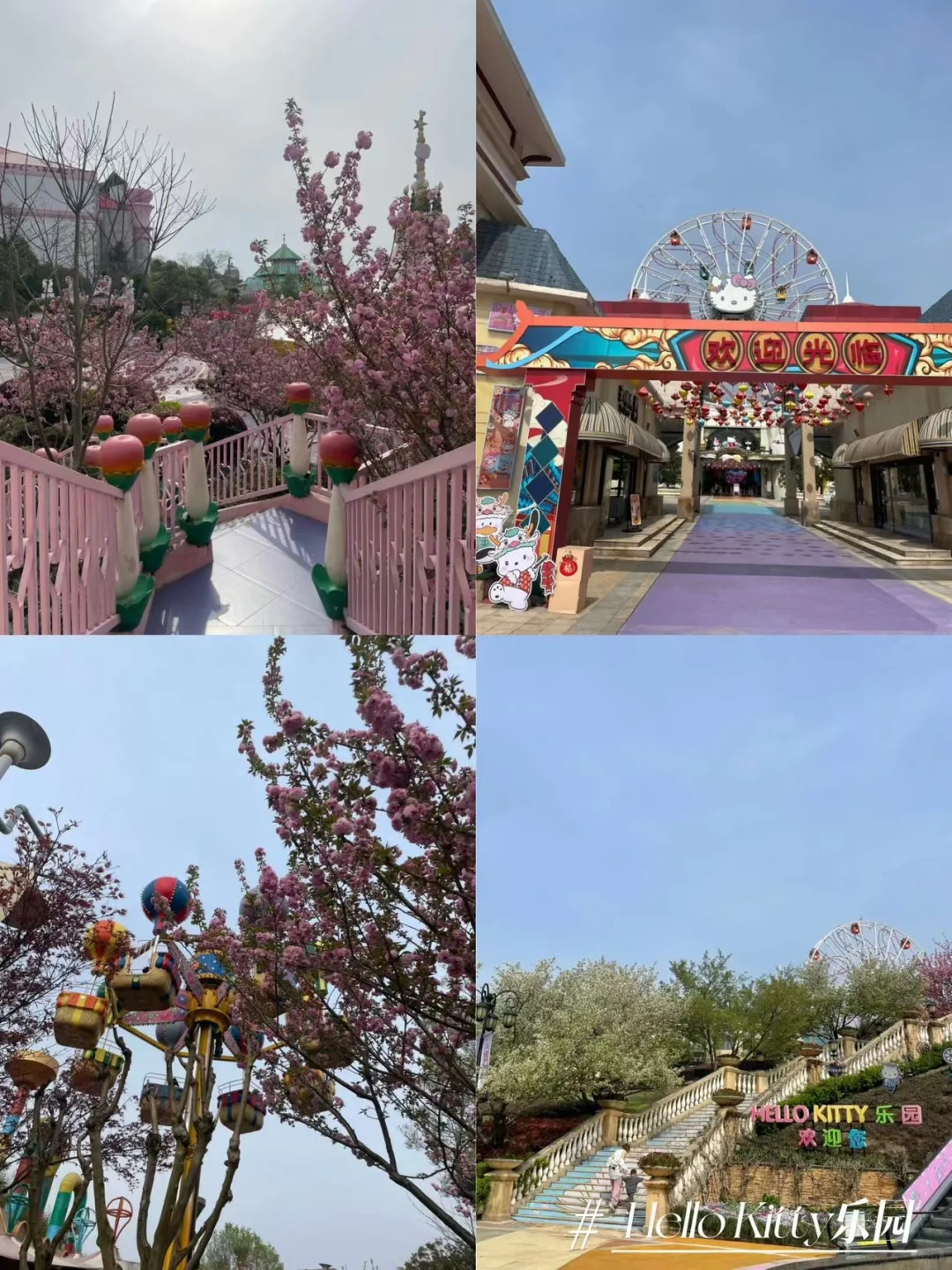 安吉两天一夜不踩雷旅游攻略