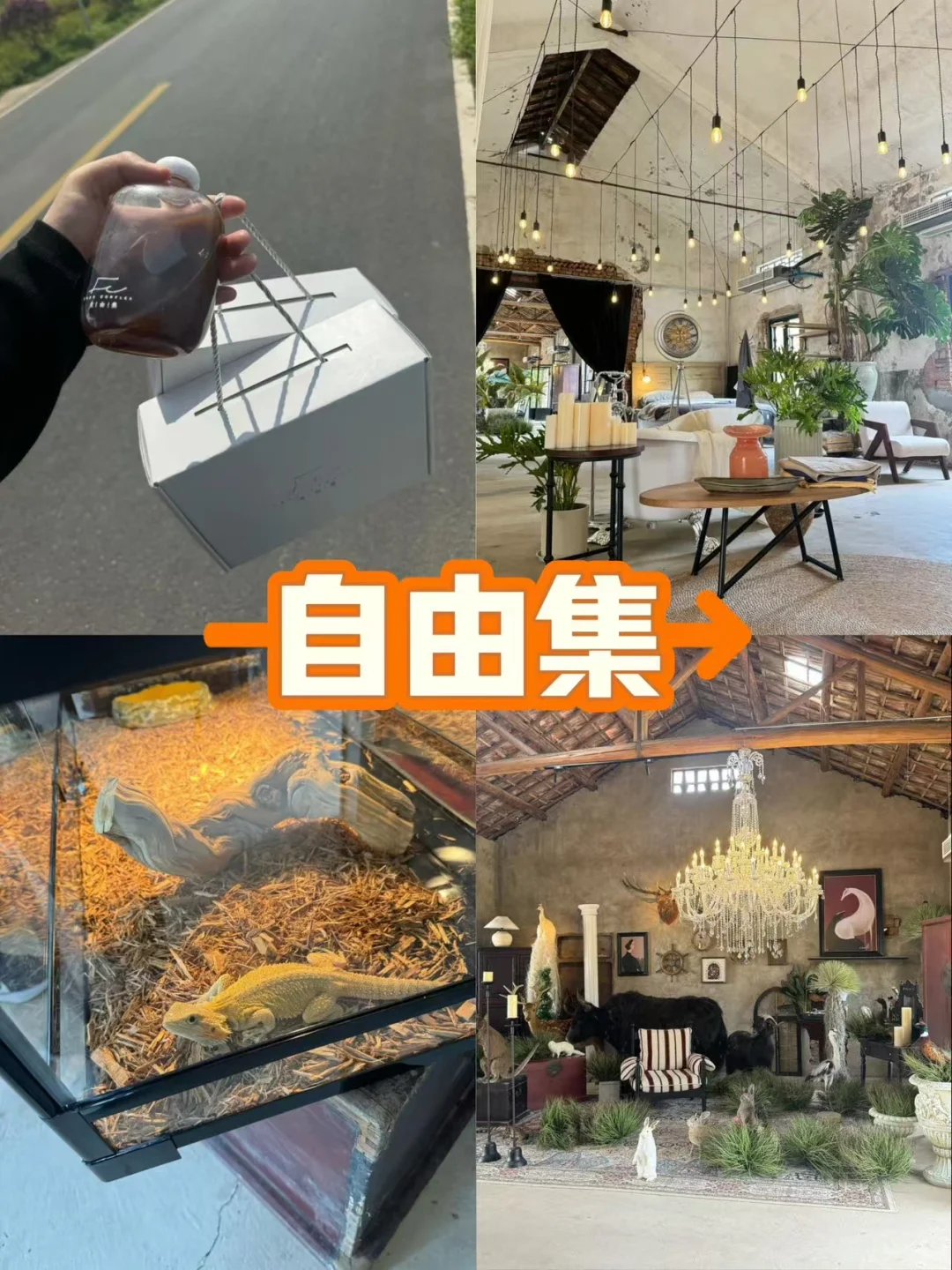 杭州出发安吉 两天一晚打卡旅游攻略