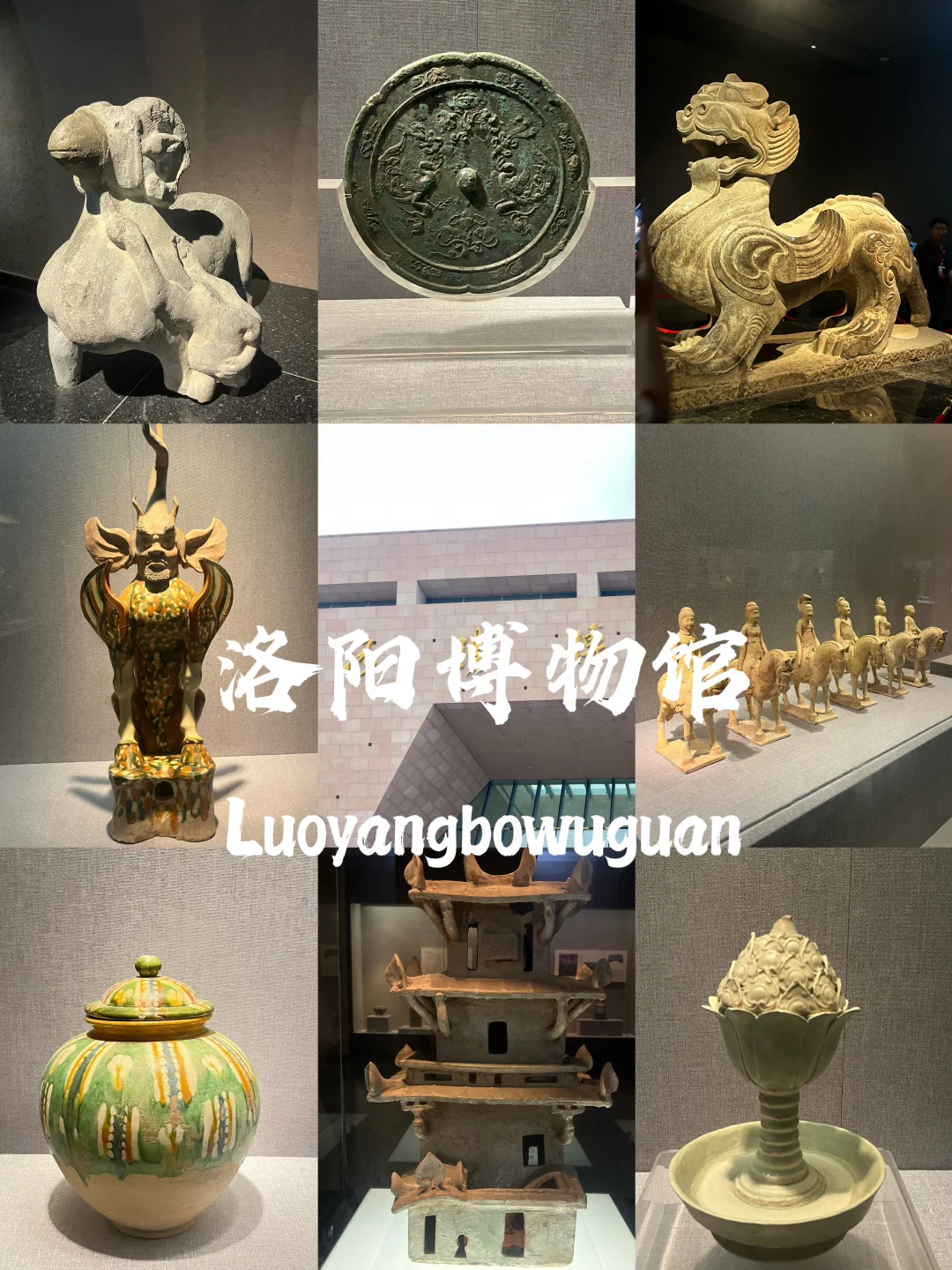 03女大📍洛阳/三天二夜精华版旅游攻略❗️