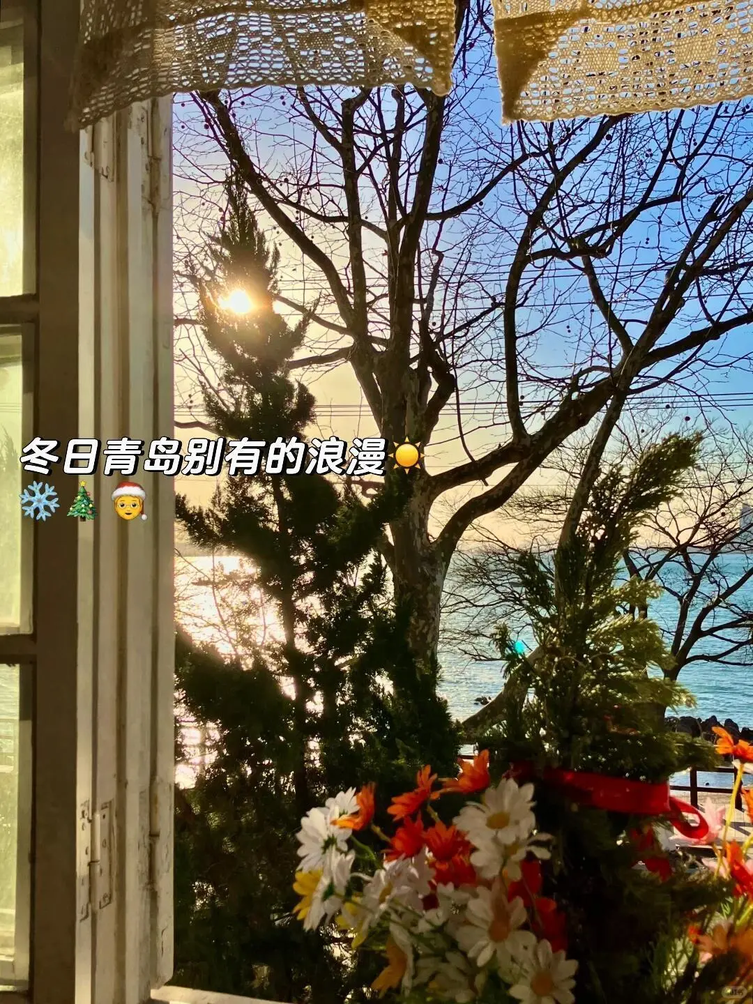 青岛八大关！一周3⃣5⃣0⃣可常住，旅居友好