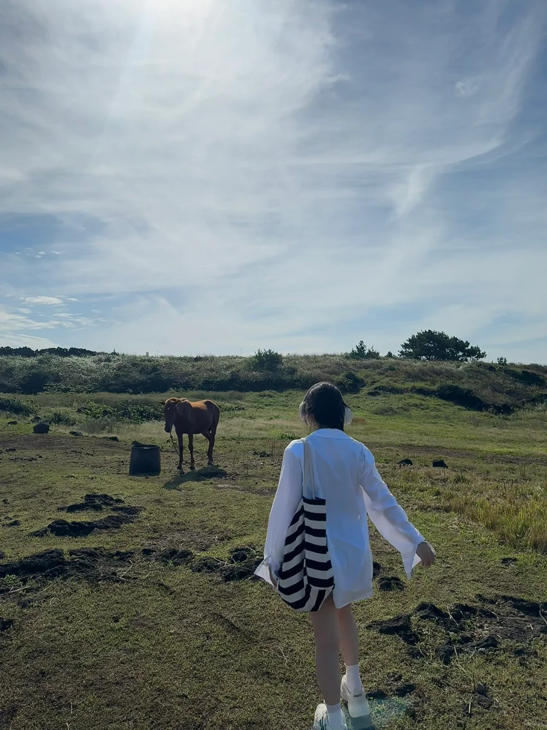 🇰🇷Jeju拍到了人生照片🏖️