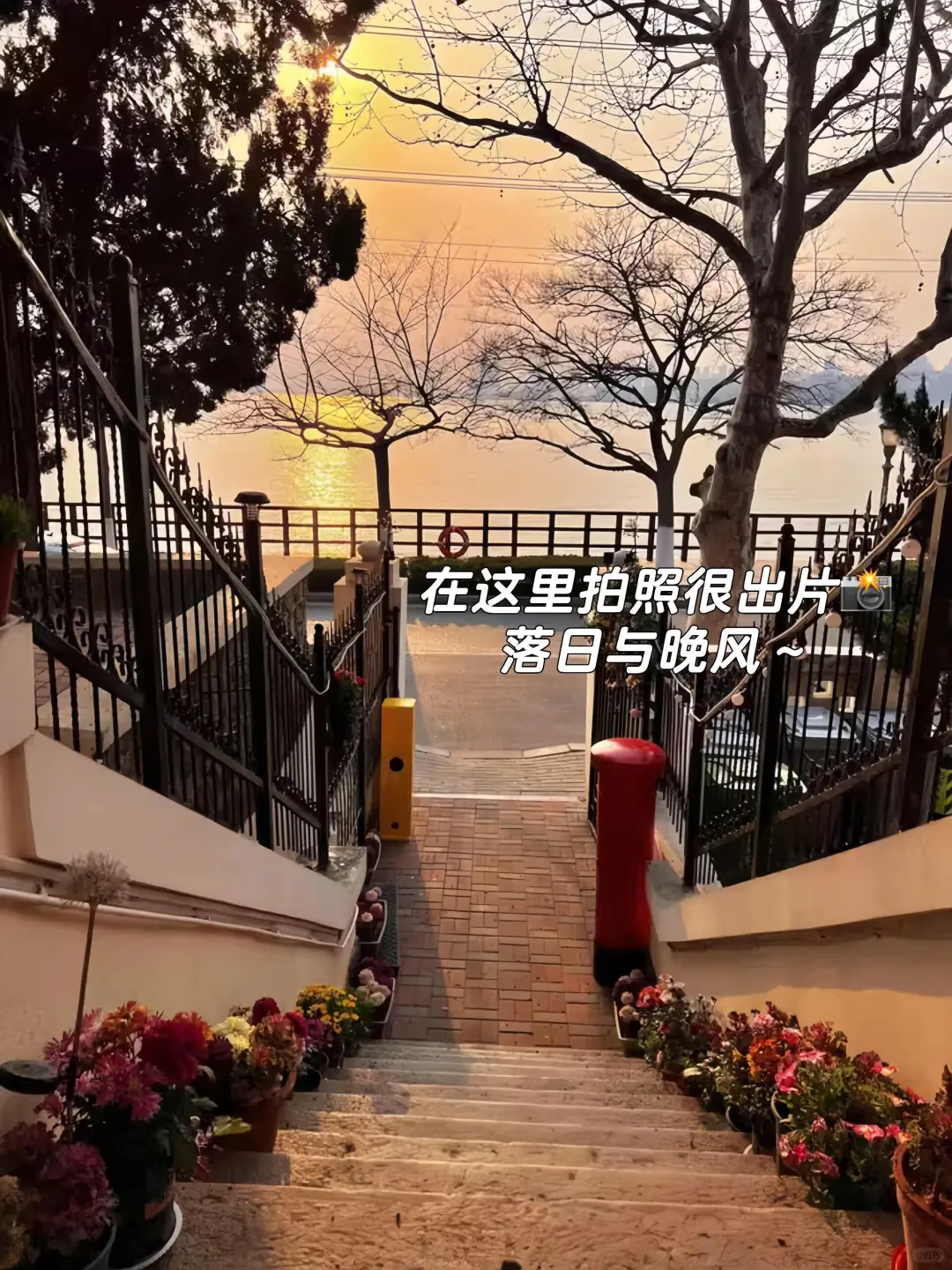 青岛八大关！一周3⃣5⃣0⃣可常住，旅居友好