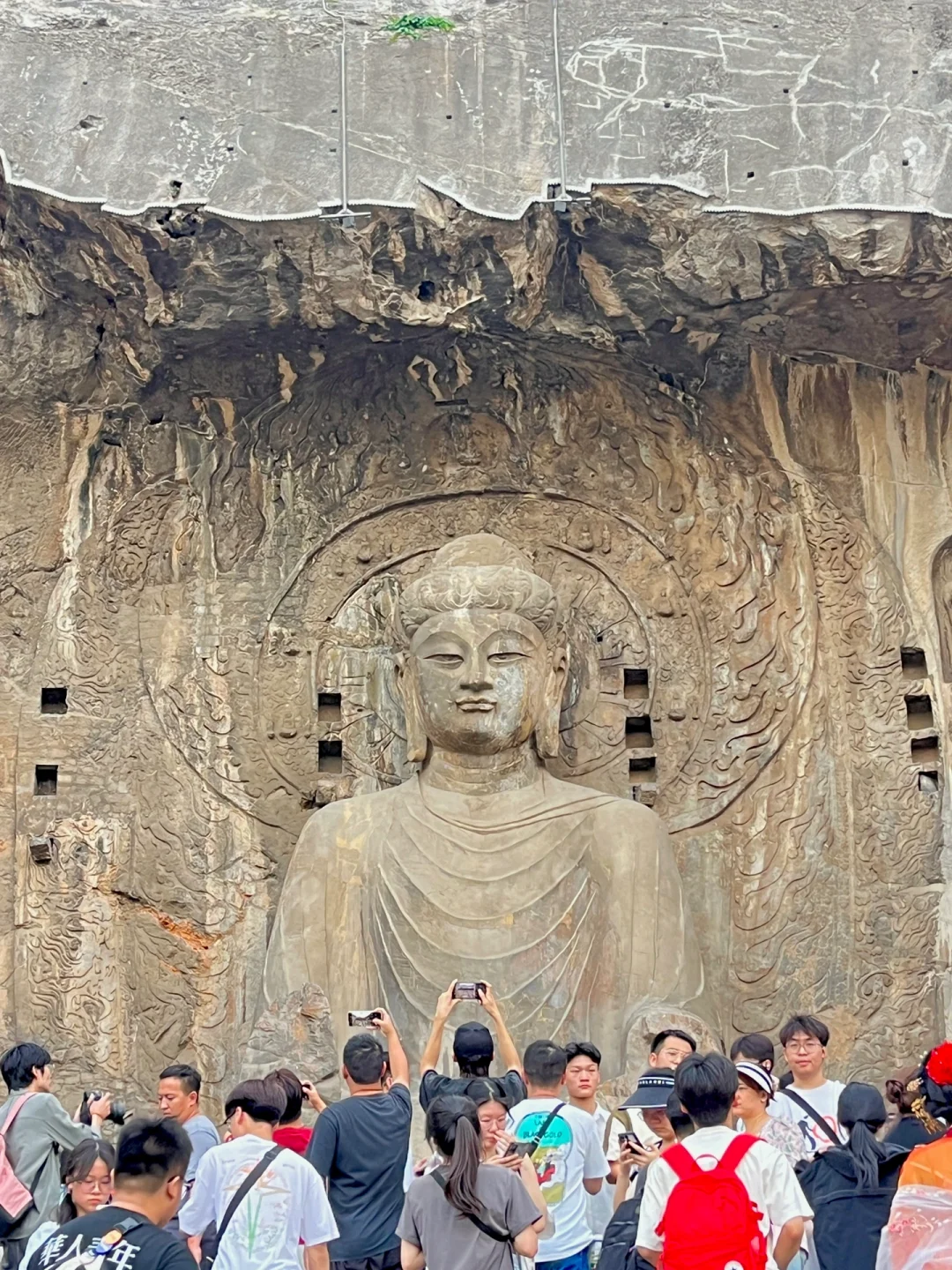 03女大📍洛阳/三天二夜精华版旅游攻略❗️