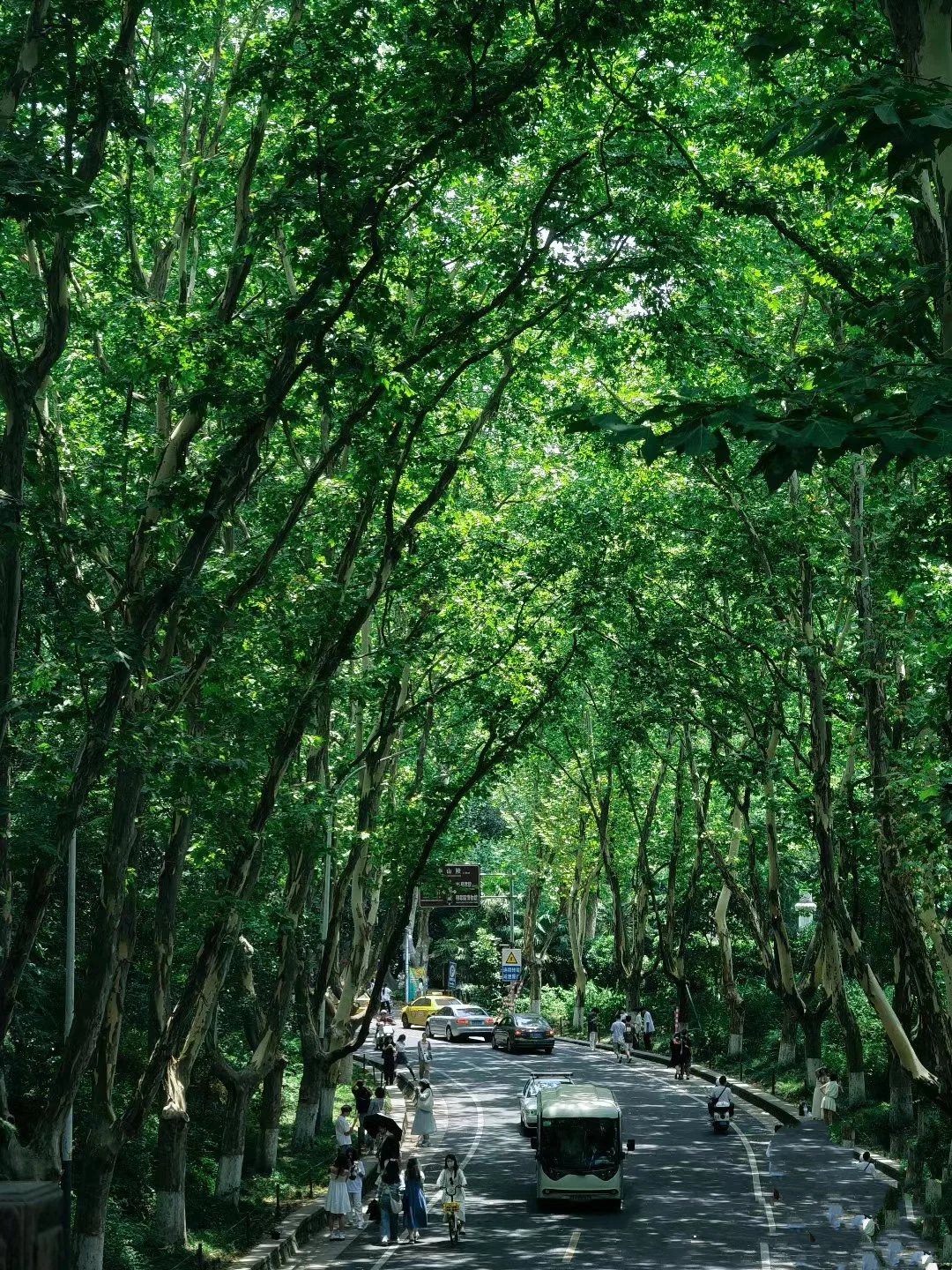 上海-苏杭-南京-乌镇路线规划分享