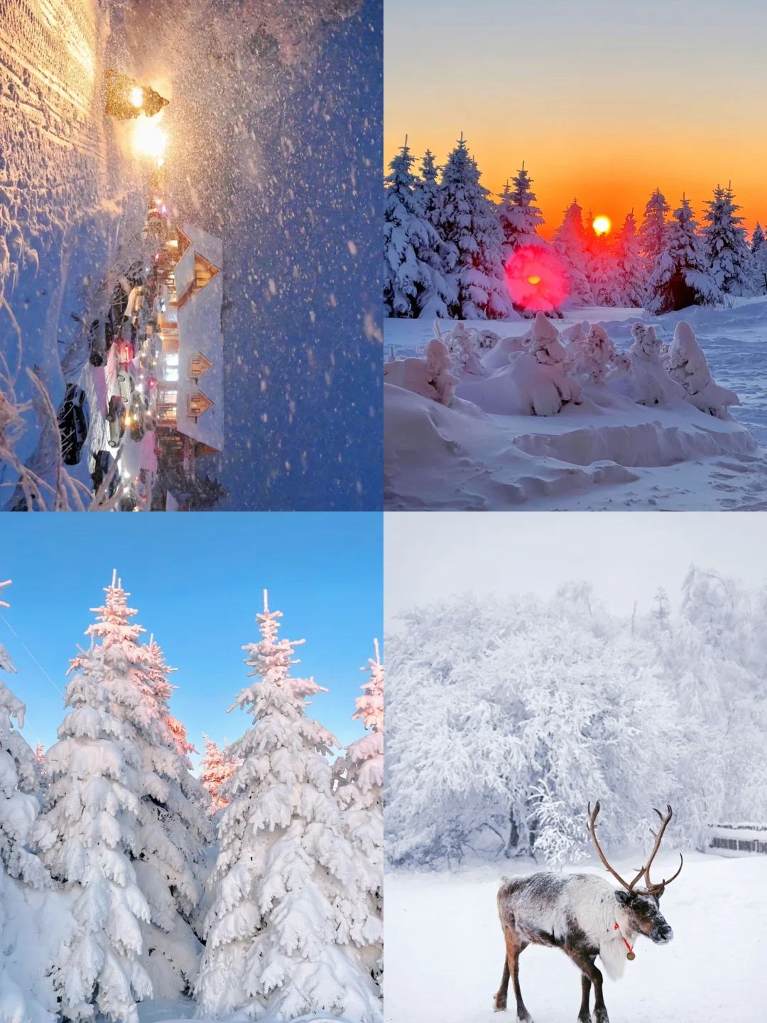 东北旅游攻略，12-2月来哈尔滨的姐妹听劝