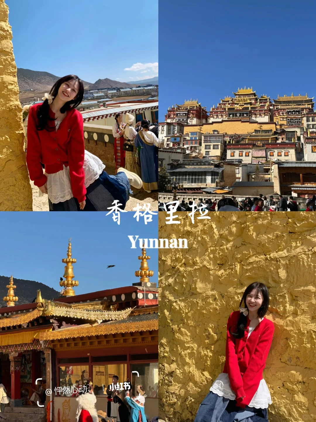 云南旅游👫七天花了2300💰真实感受