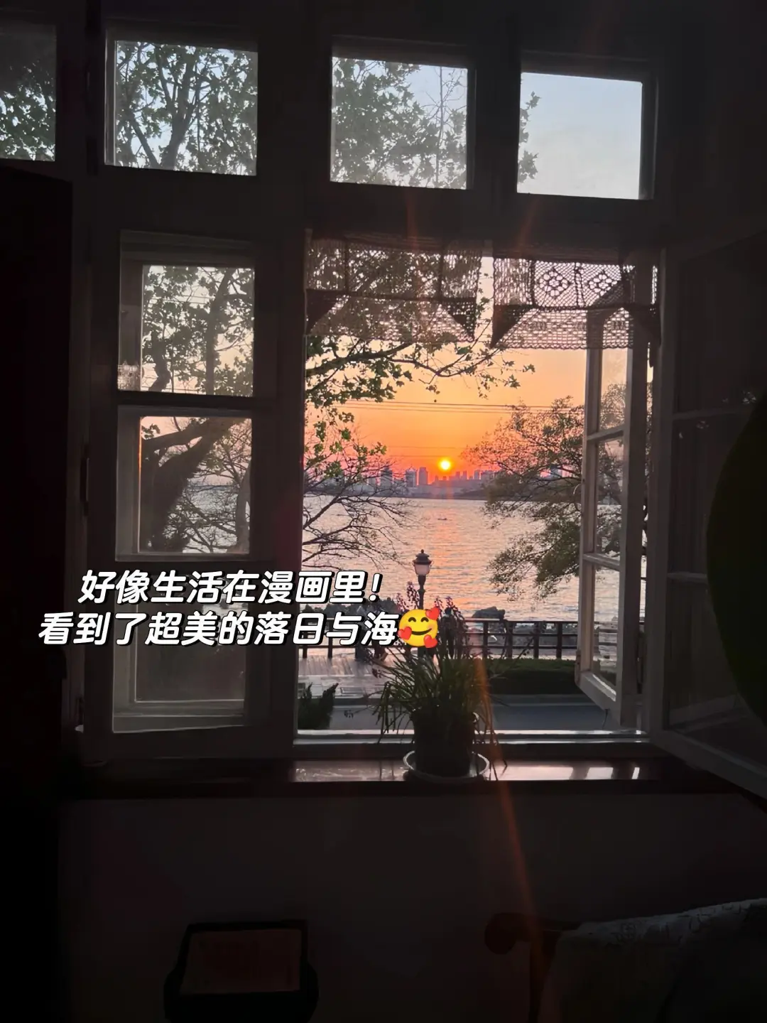 青岛八大关！一周3⃣5⃣0⃣可常住，旅居友好