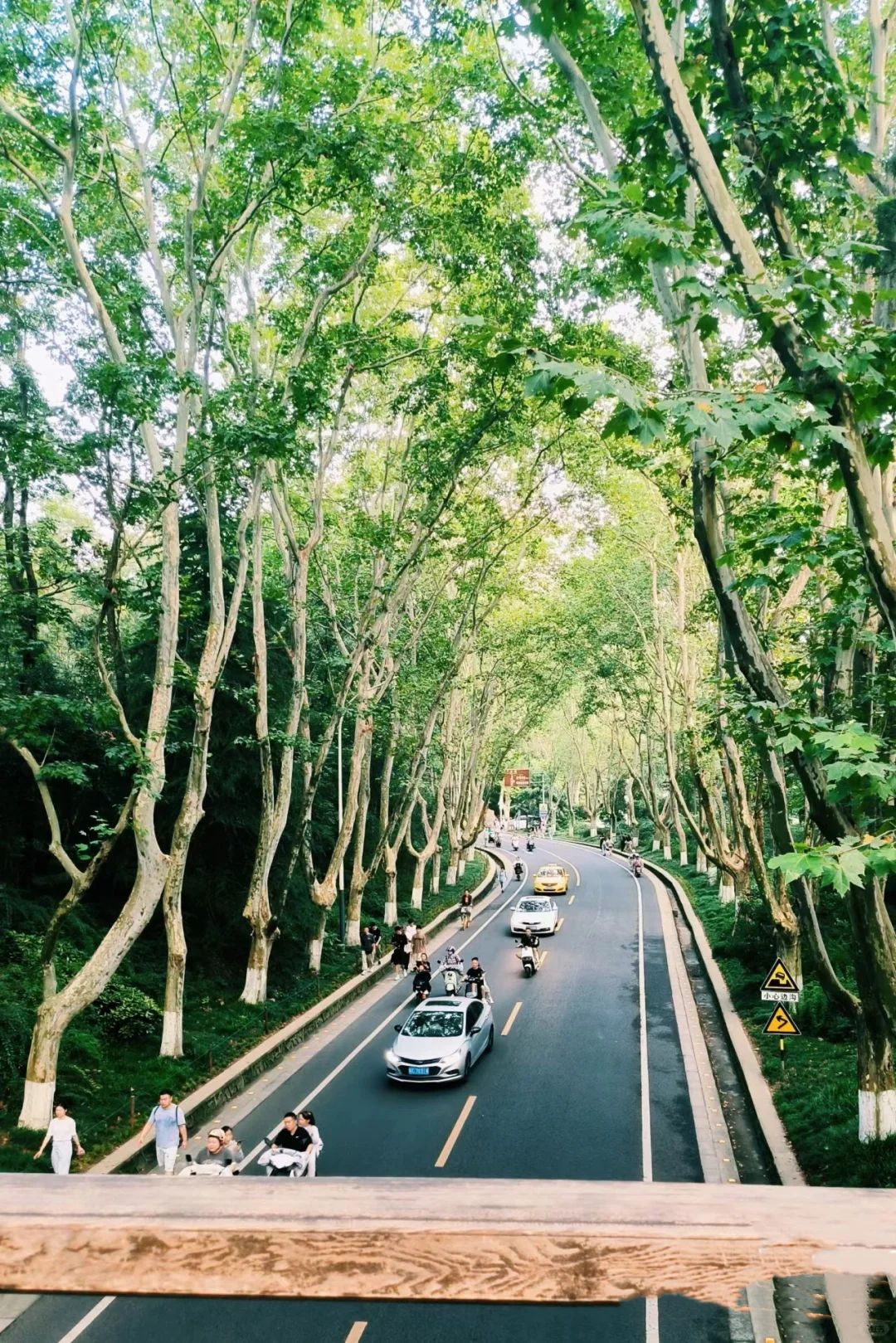 上海-苏杭-南京-乌镇路线规划分享