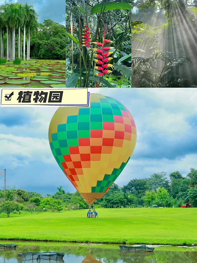 西双版纳7天6晚旅游攻略！✈全程不回头！