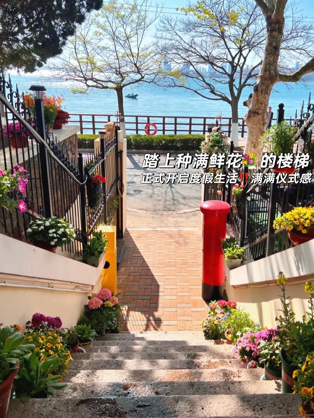 青岛八大关！一周3⃣5⃣0⃣可常住，旅居友好