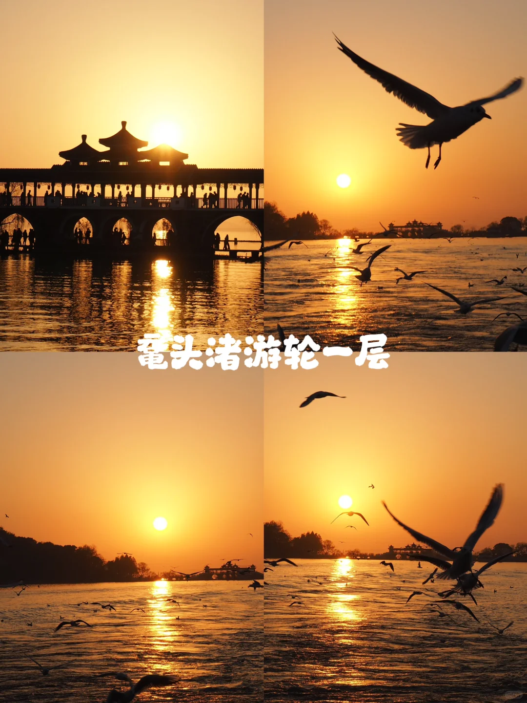 2025欧气满满，苏州到无锡一日游攻略