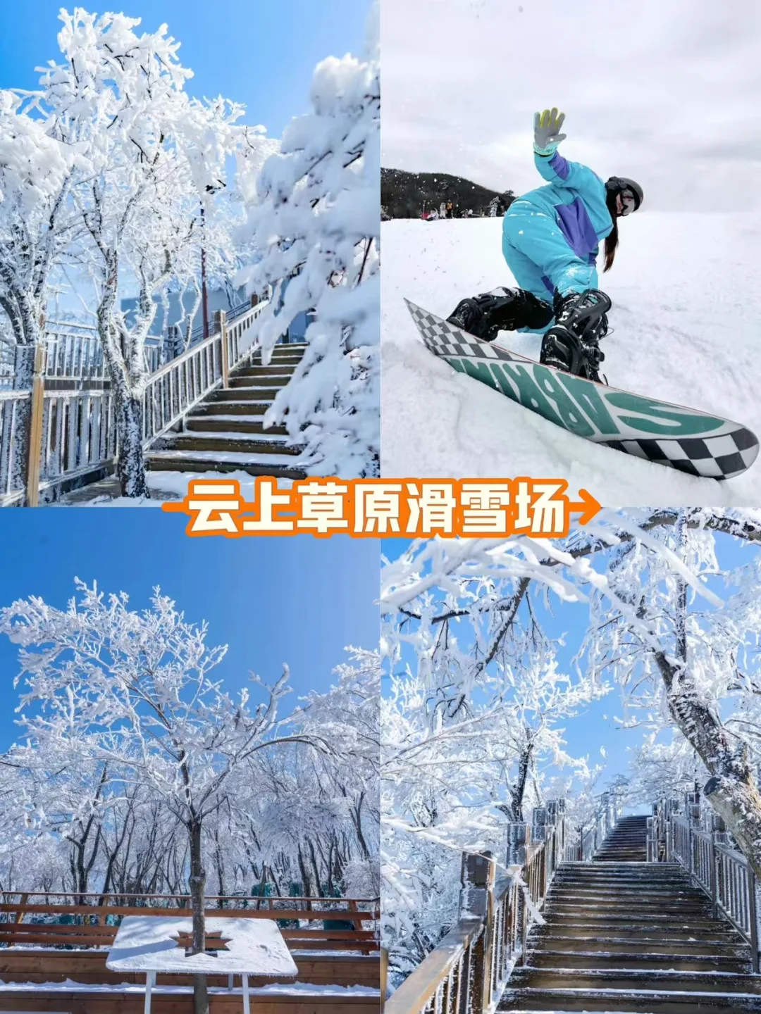 杭州出发安吉 两天一晚打卡旅游攻略