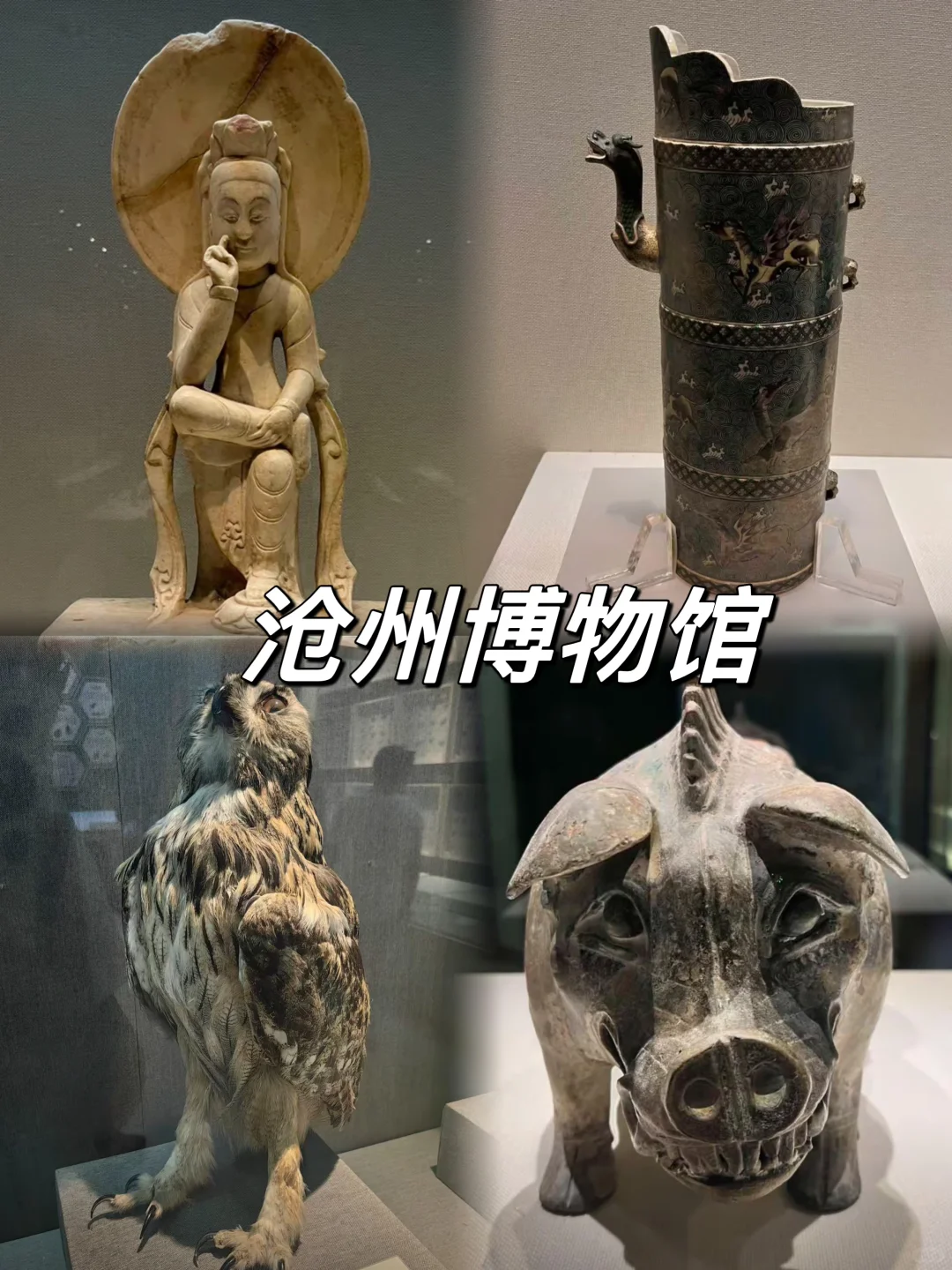 03女大📍沧州/一日游详细版旅游路线攻略❗️