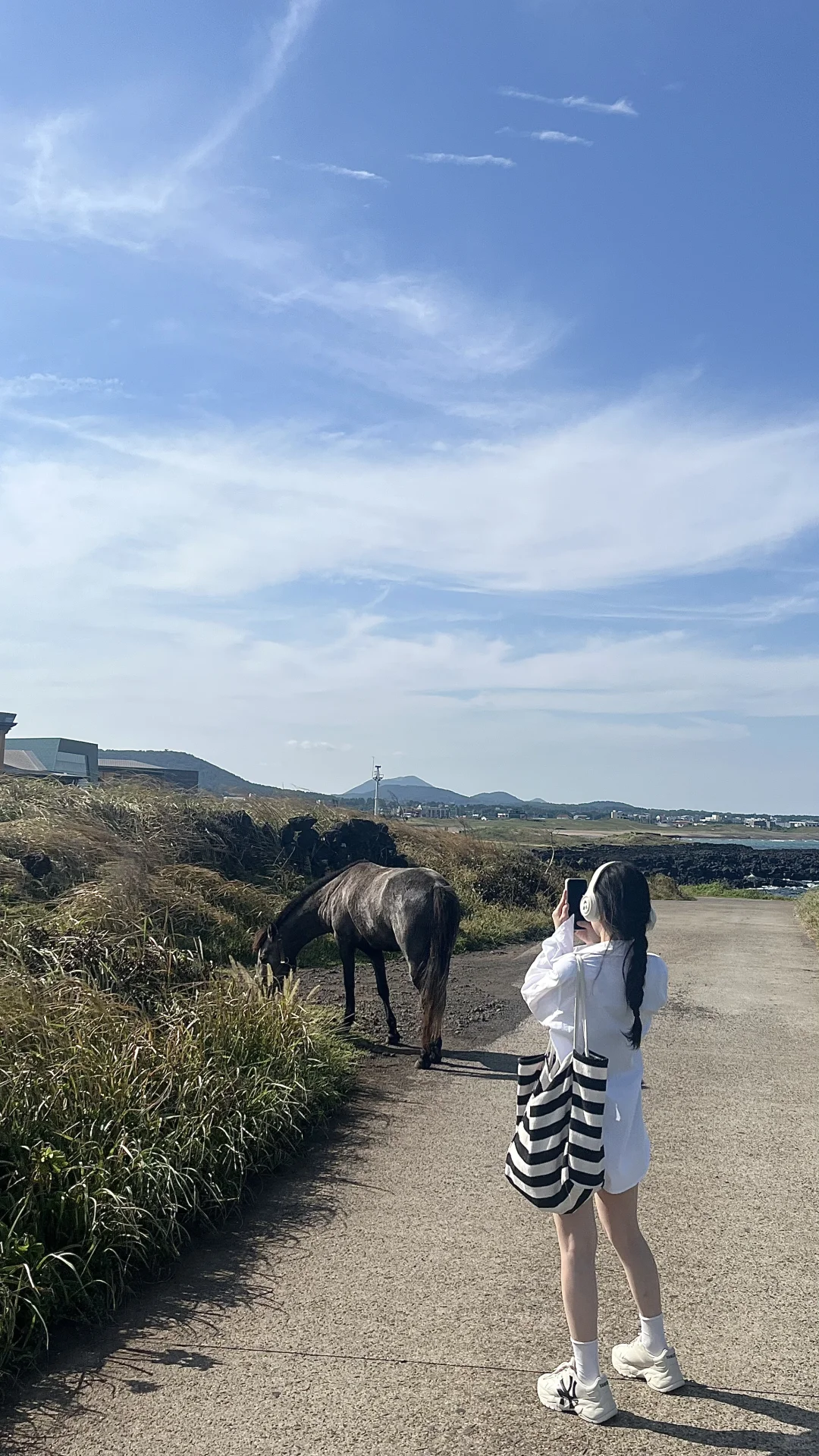 🇰🇷Jeju拍到了人生照片🏖️
