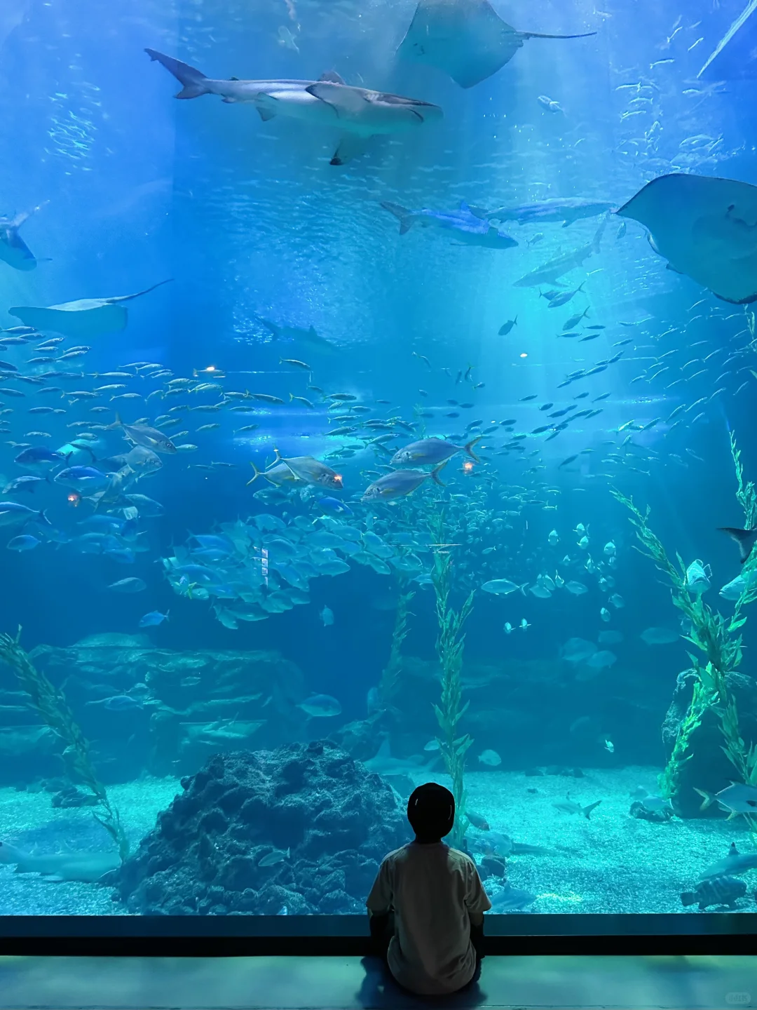 一张图带你了解济州岛｜附4天3晚全攻略🔥