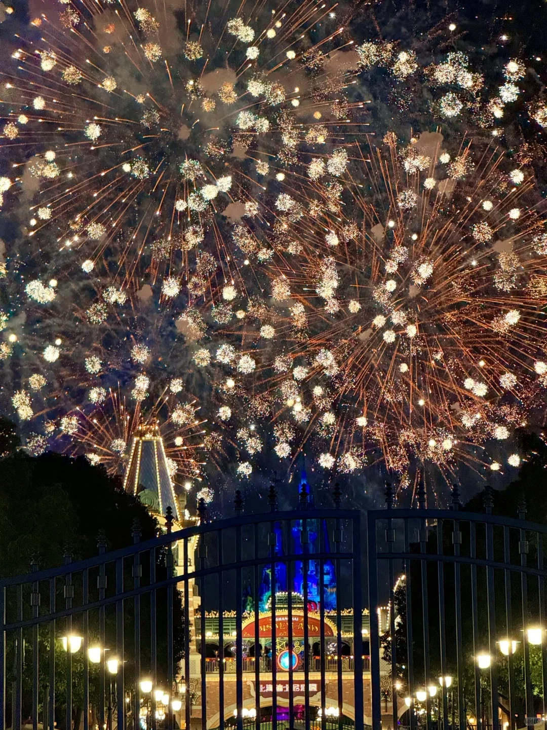 写给即将去上海的姐妹👭超全避雷攻略