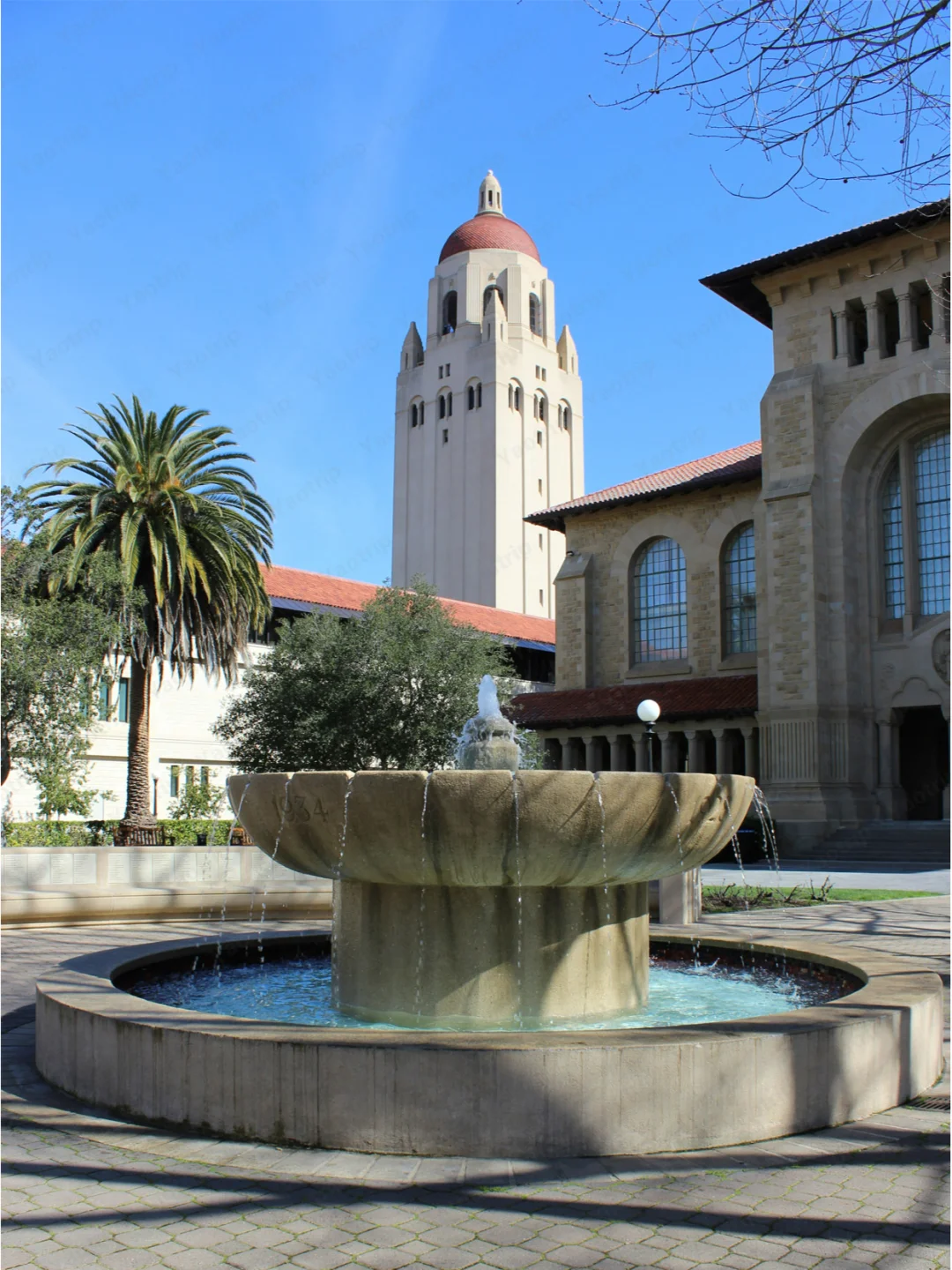 在美国待了八年的宝藏建议！春节去的码住