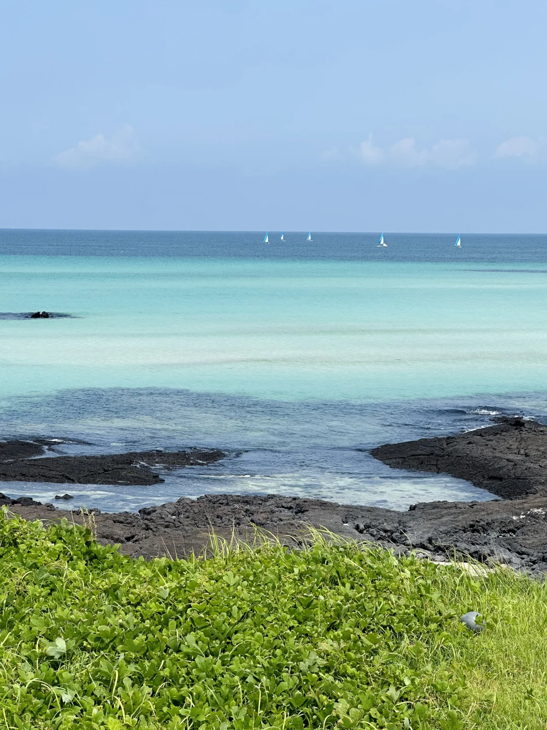 一张图带你了解济州岛｜附4天3晚全攻略🔥