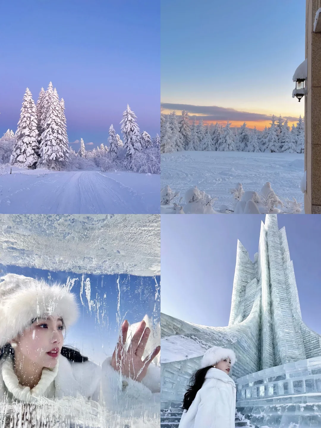 东北旅游攻略，12-2月来哈尔滨的姐妹听劝