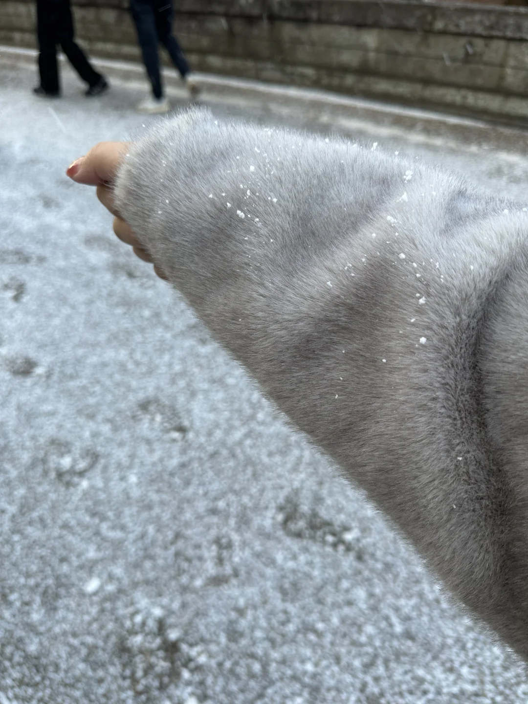 日本旅游攻略|一些日本奇奇怪怪的知识