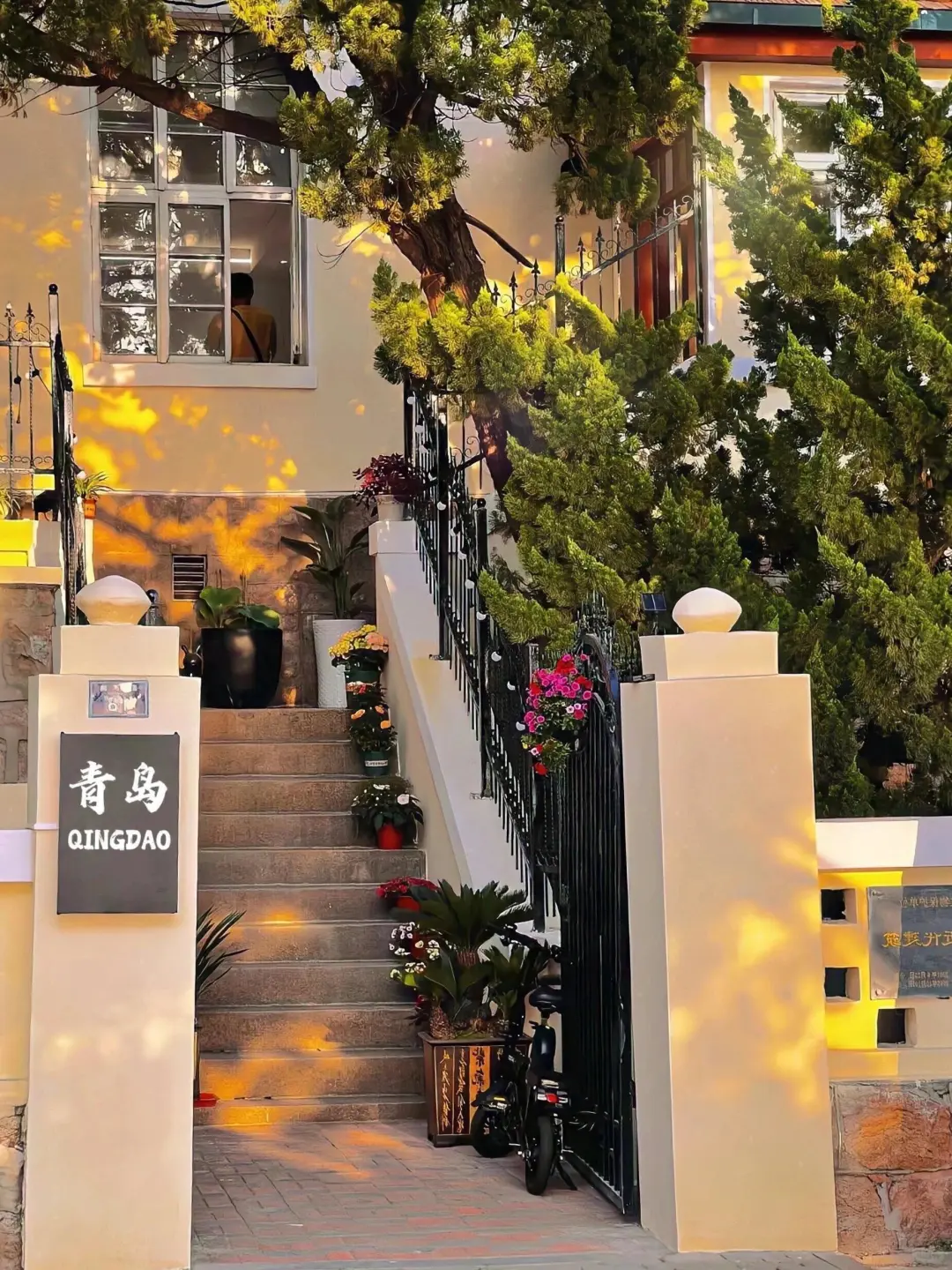 青岛八大关！一周3⃣5⃣0⃣可常住，旅居友好