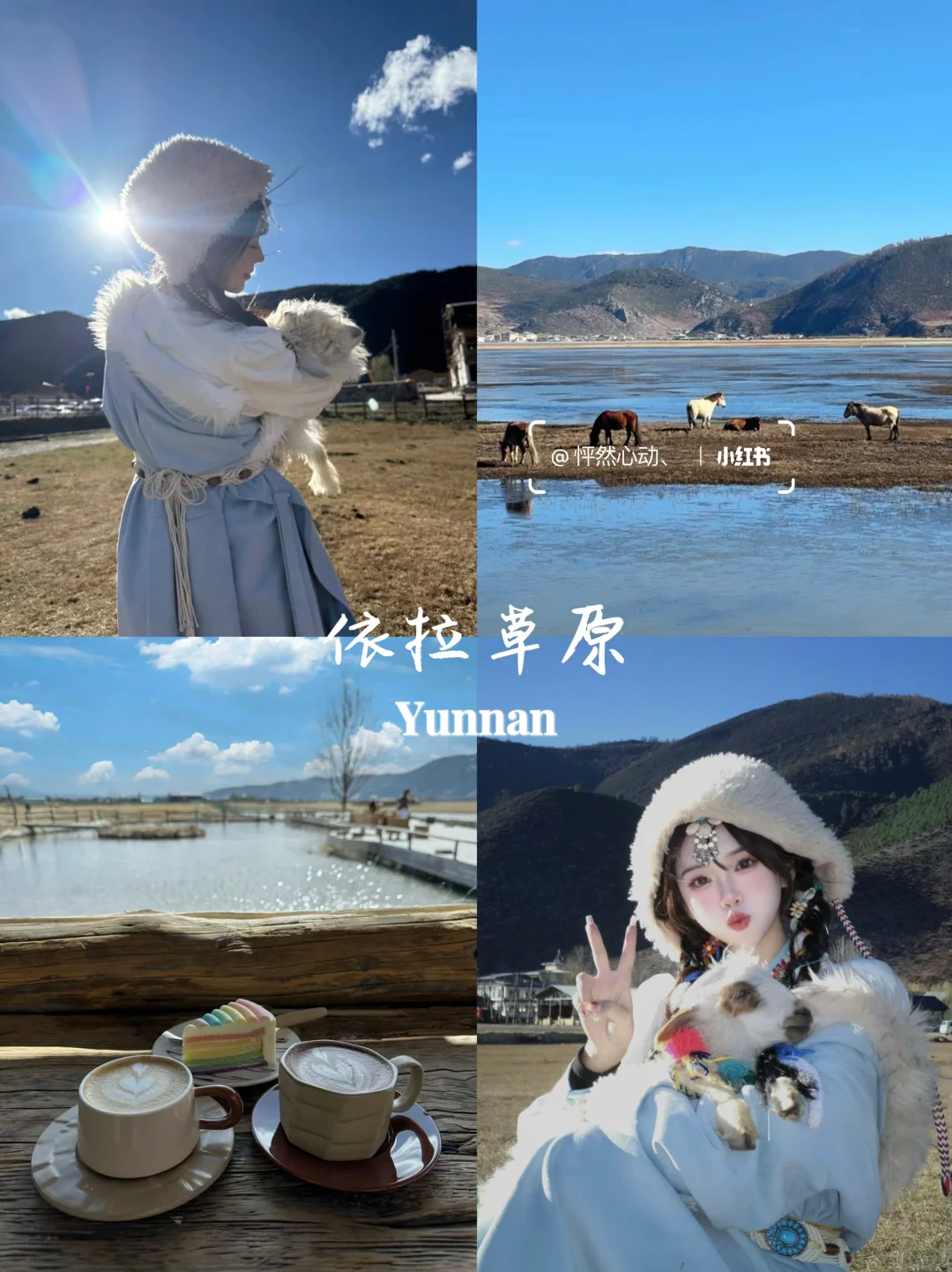 云南旅游👫七天花了2300💰真实感受