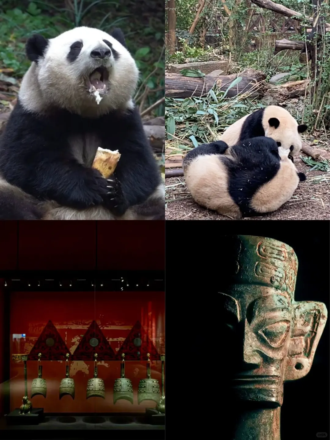 成都详细版旅游攻略!建议直接抄!!