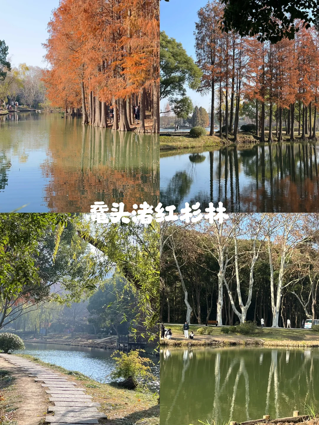 2025欧气满满，苏州到无锡一日游攻略