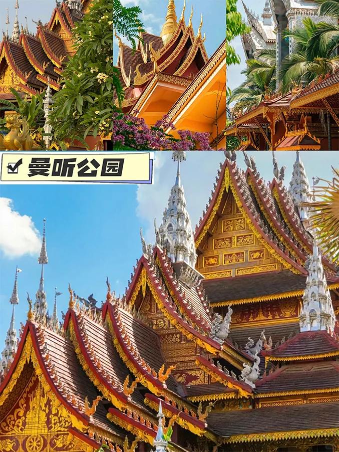 西双版纳7天6晚旅游攻略！✈全程不回头！