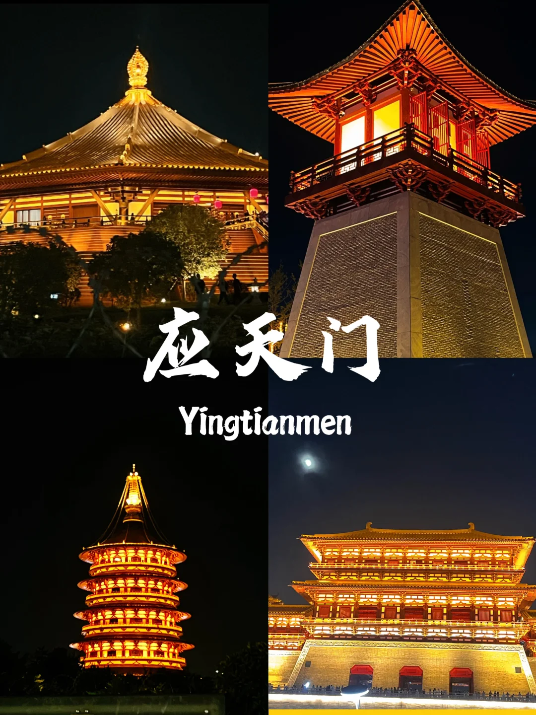 03女大📍洛阳/三天二夜精华版旅游攻略❗️