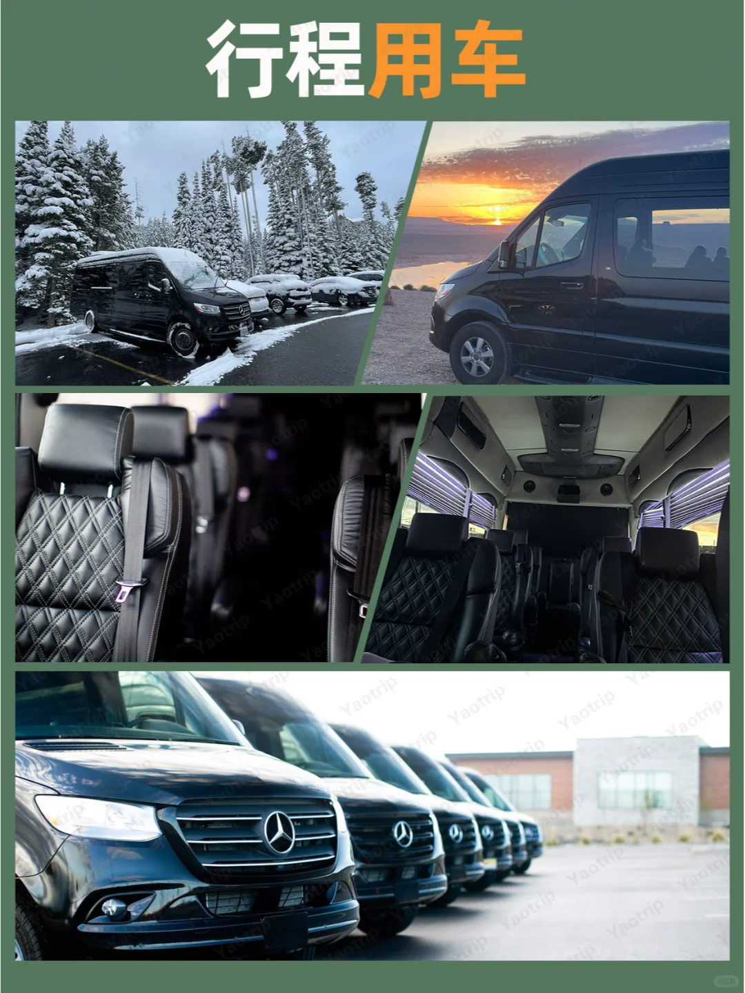 在美国待了八年的宝藏建议！春节去的码住