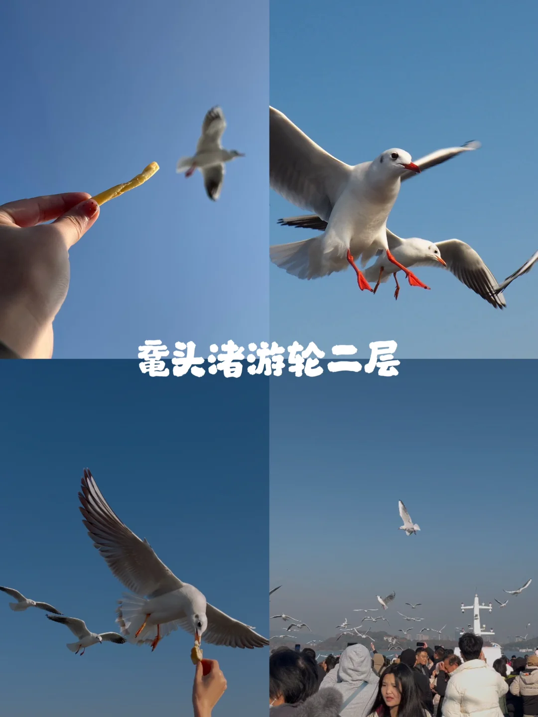 2025欧气满满，苏州到无锡一日游攻略